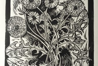Dandelions